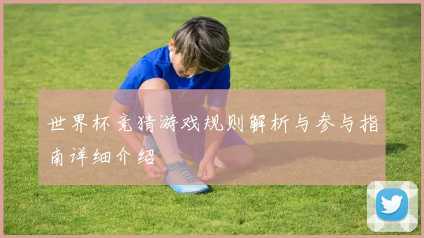 世界杯竞猜游戏规则解析与参与指南详细介绍