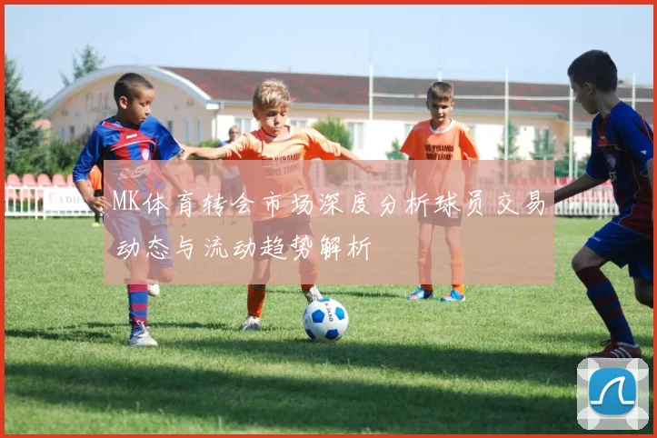 MK体育转会市场深度分析球员交易动态与流动趋势解析