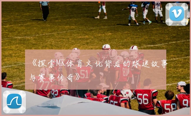 《探索MK体育文化背后的球迷故事与赛事传奇》